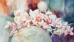 Orchid Bloom