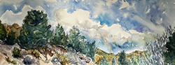 Along the Carson River