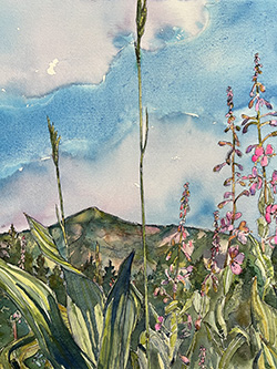 Fireweed and Mokelumne Peak